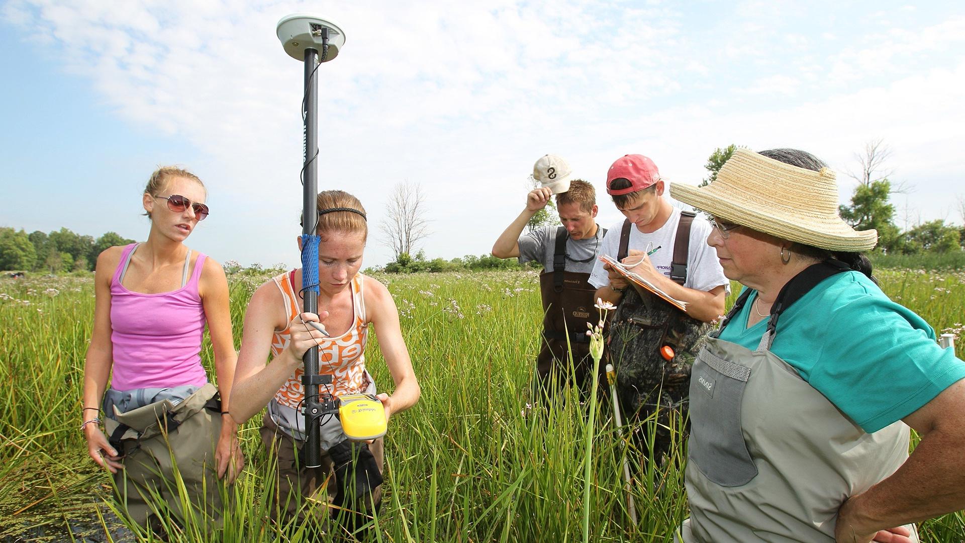 俄亥俄州的淡水沼泽由BGSU生物学专业的学生用GPS定位器和海洋样本收集工具进行探索.
